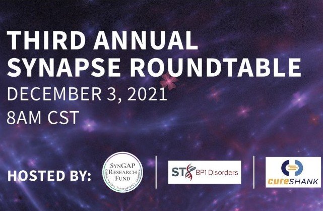 Third Annual Synapse Roundtable: Collaboration at Its Finest