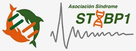 asociacion-sindrome-stxbp1-logo.jpeg