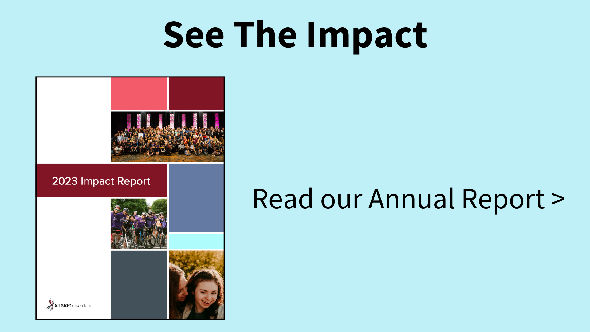 2023 Impact Report.png