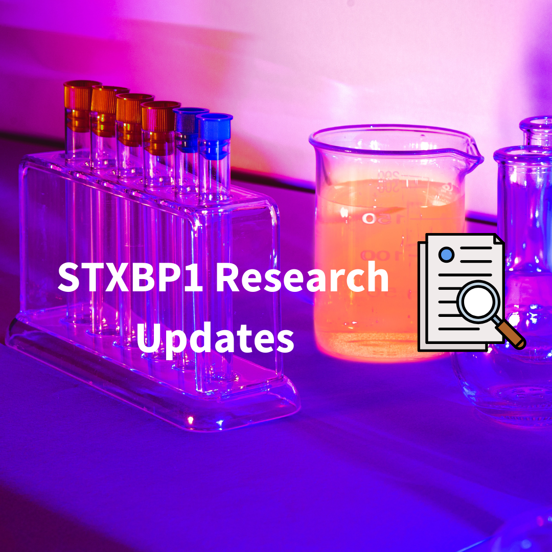 Strides in STXBP1 Research: Oct &amp; Nov