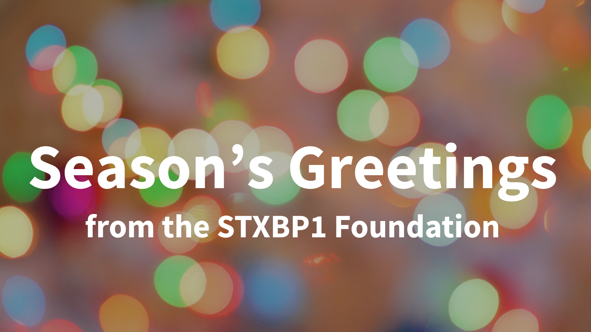 Season's Greetings 2025.png