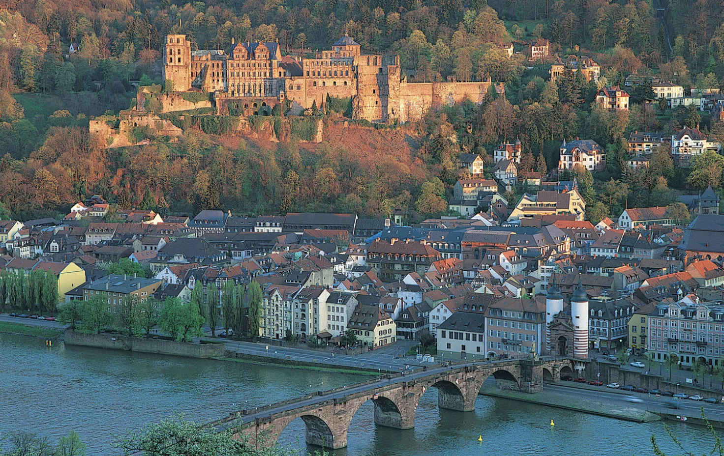 Highlights from the 2025 STXBP1 Researcher Roundtable