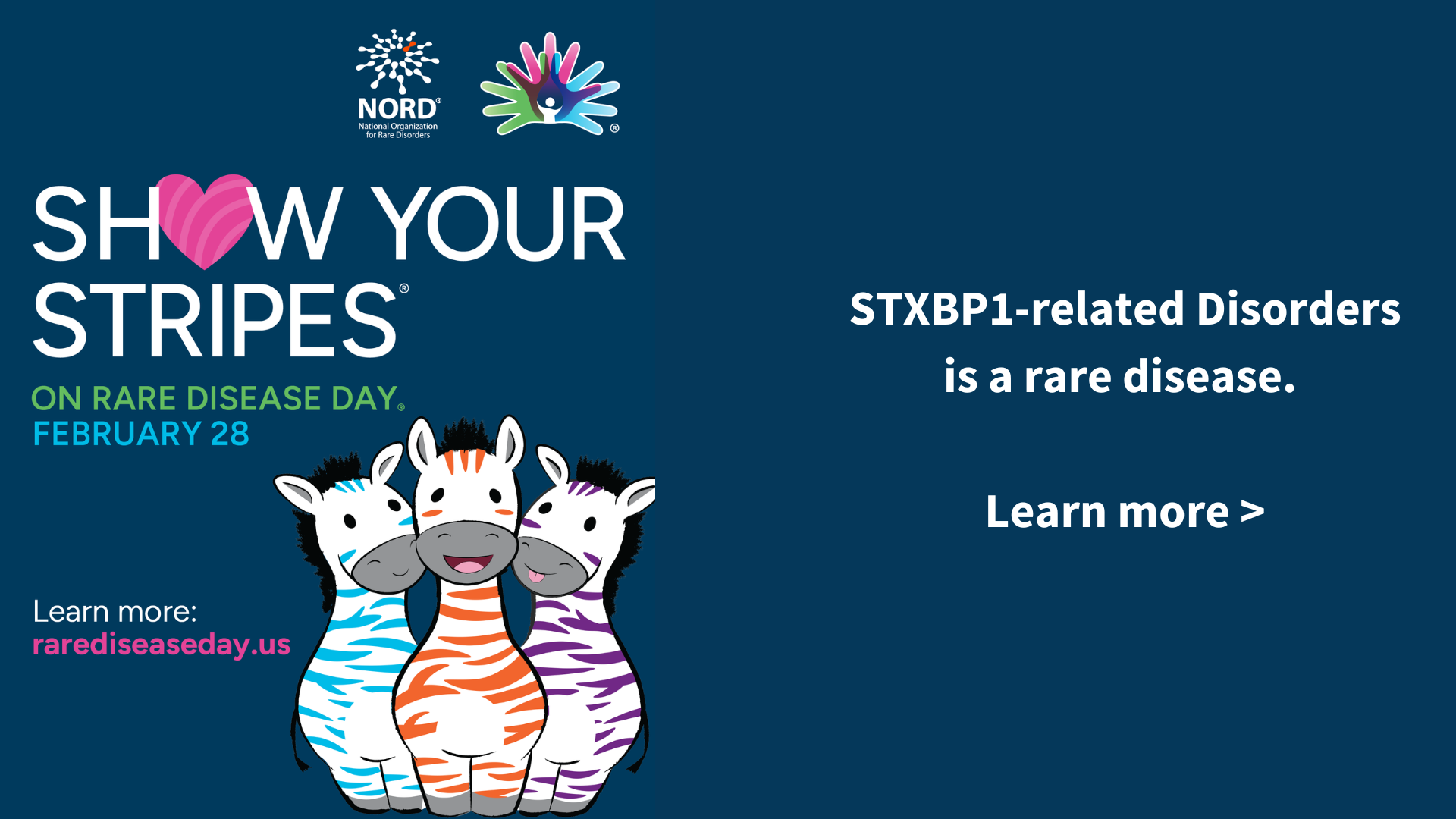 Rare Disease Day.png