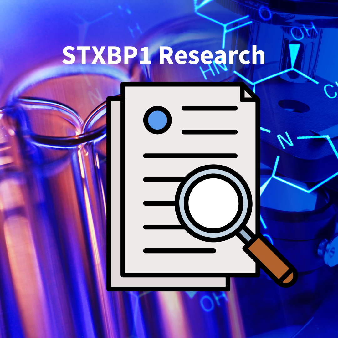 Strides in STXBP1 Research: Feb
