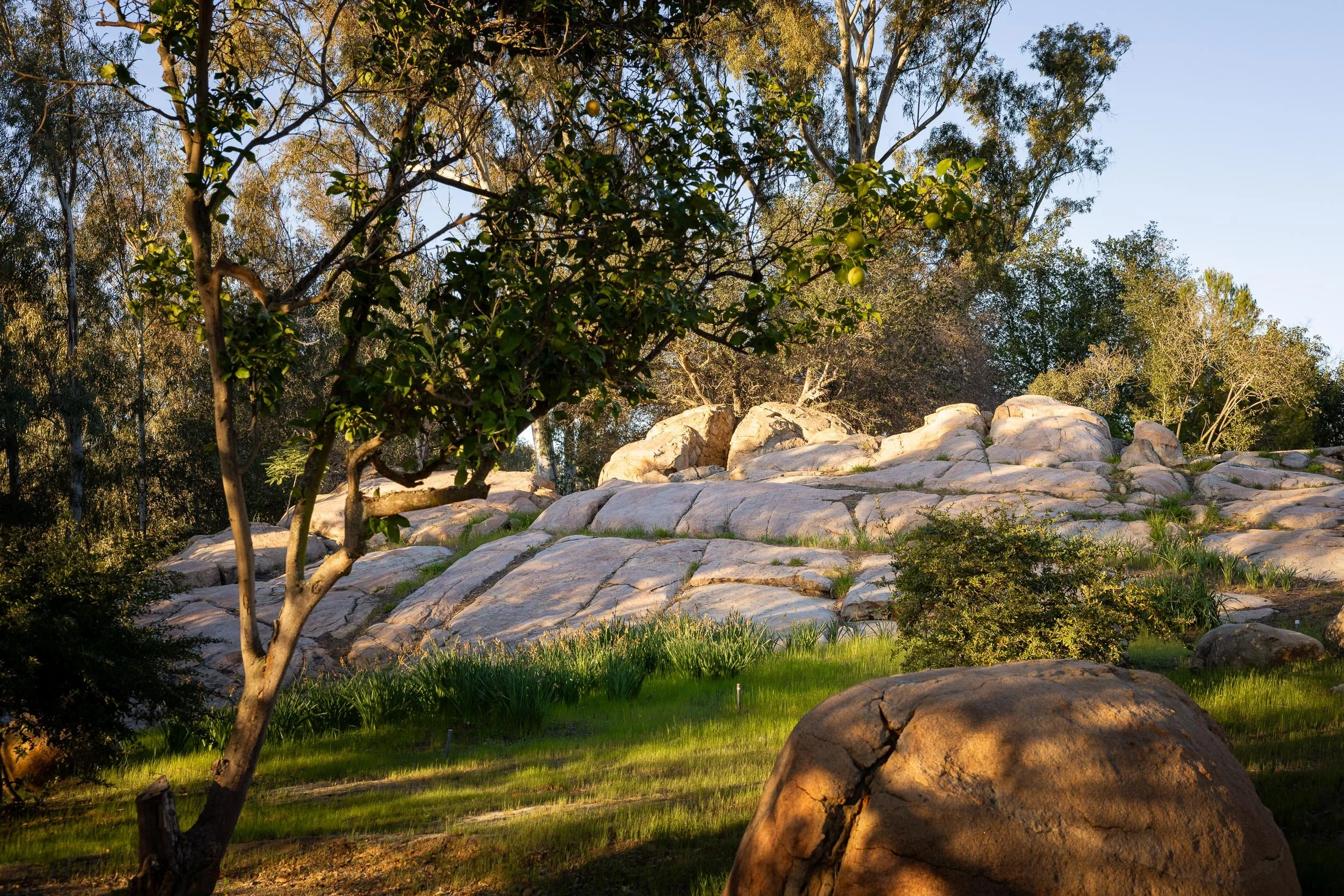 16512 Wilderness Rd - WEB + MED RES-29.jpg