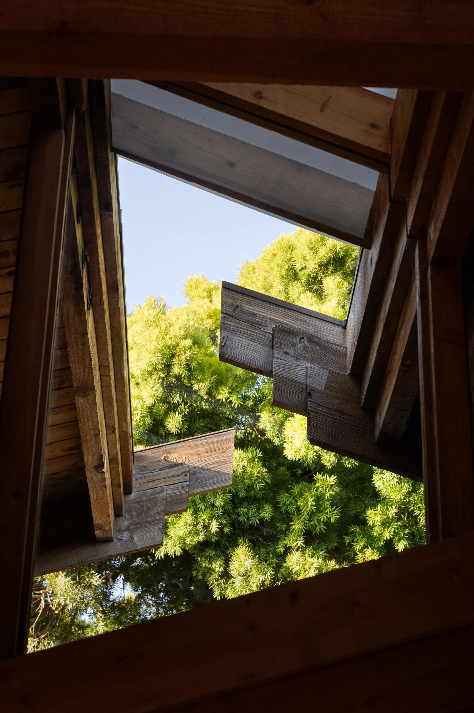 353 Glenmont Dr - WEB + MED RES-37.jpg