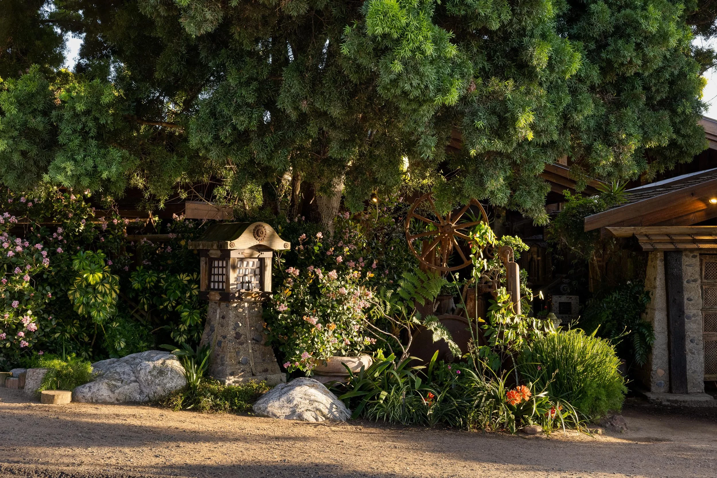 353 Glenmont Dr - WEB + MED RES-51.jpg