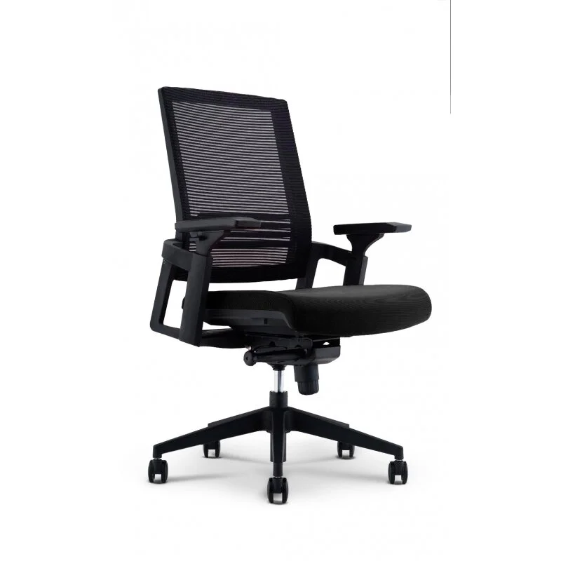 Forte Ergonomic Multi-Function Chair