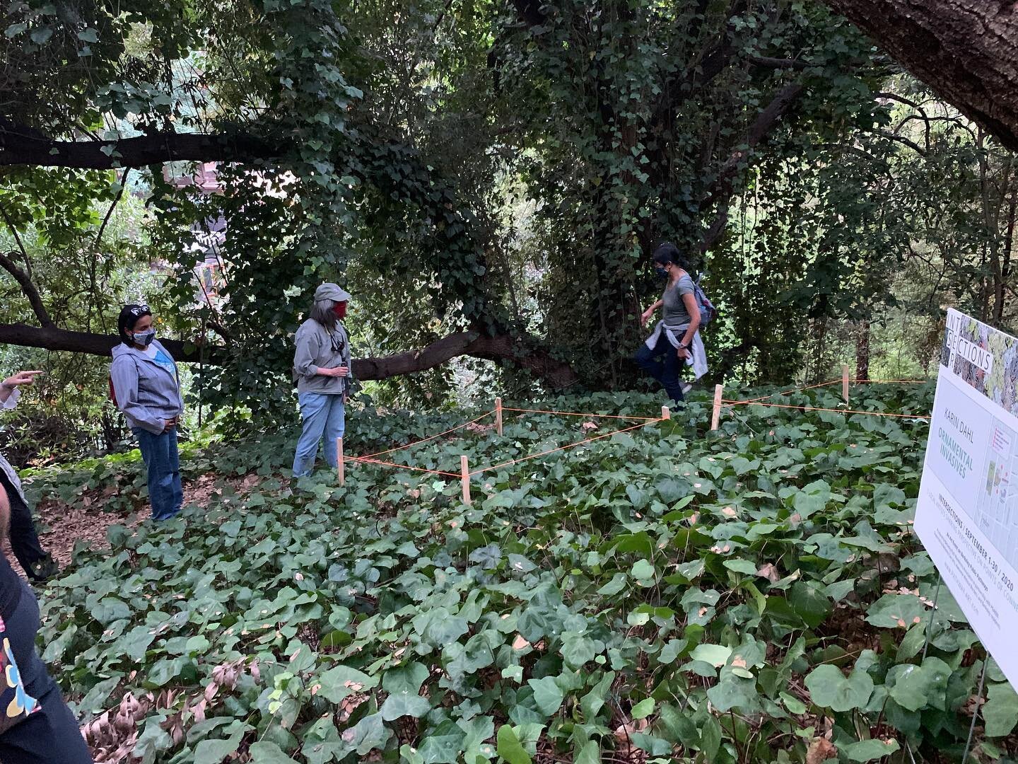 Snaps from Friday night&rsquo;s first @intersectionsberkeley guided sunset walk led by @berkeleypaths. It was a gorgeous evening.
.
Additional walk dates and times are on the activations page of the Intersections website. Link in bio. Join us!
.
#ber