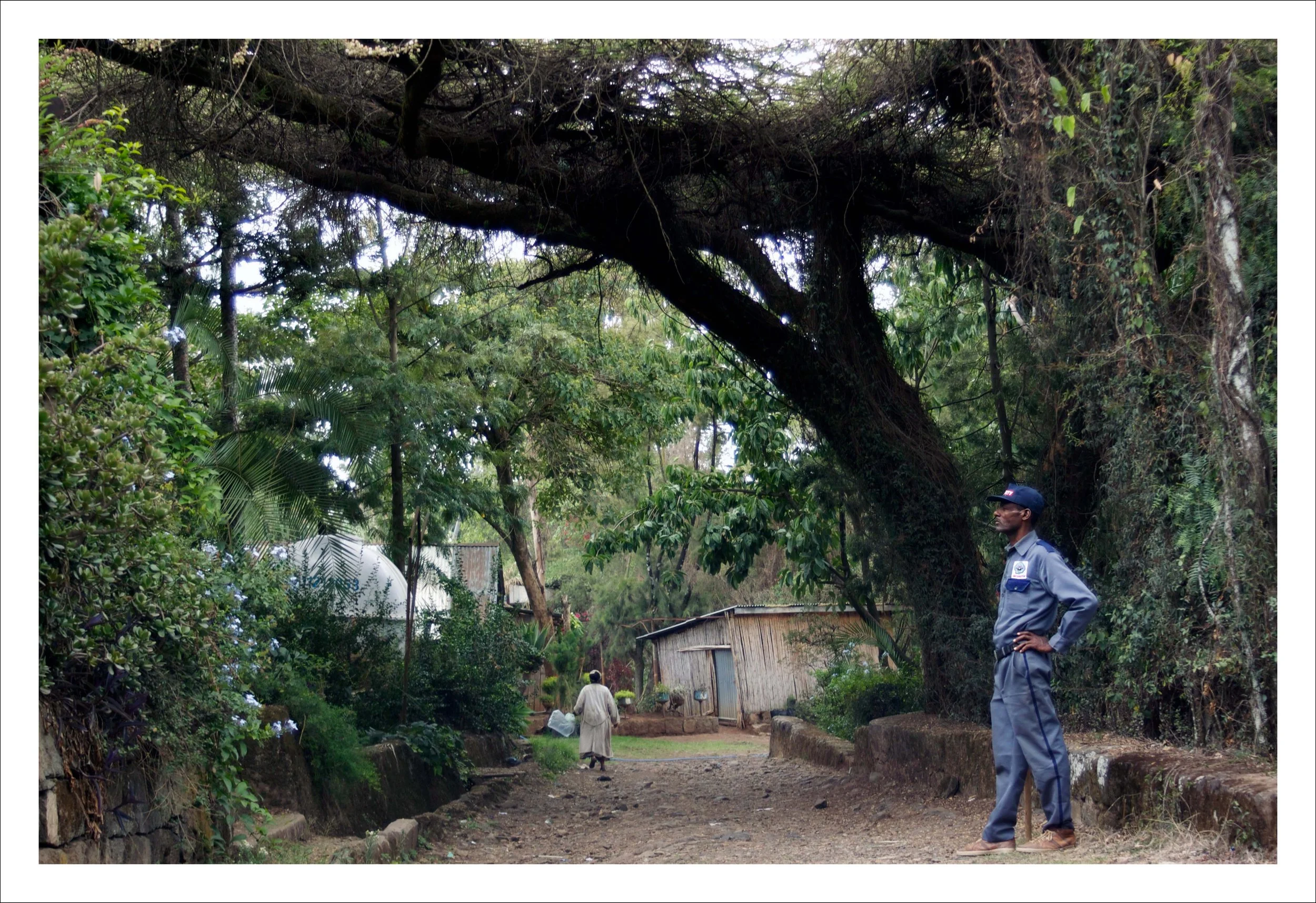 StandingAndGoing_AddisAbaba_Copy RV1.jpg