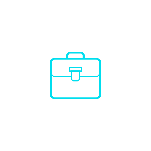 Software Services — Sky IT Resources