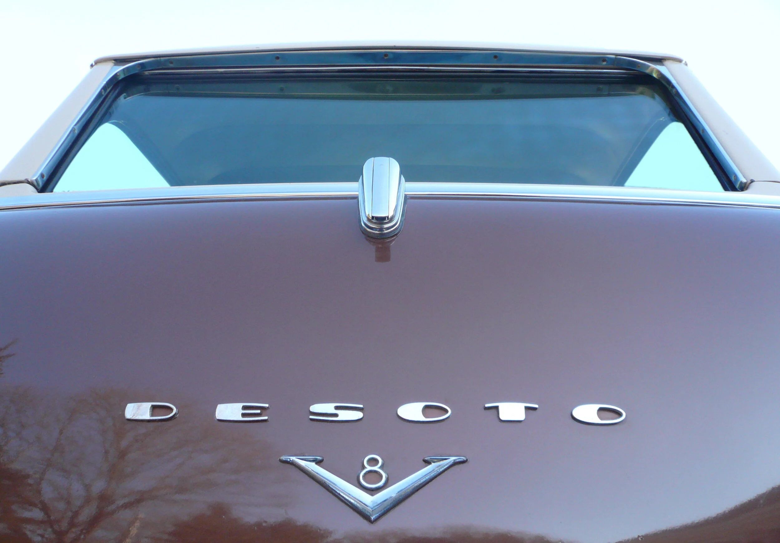 P1010219-1.jpg