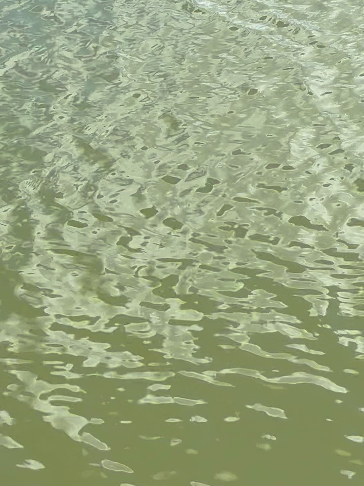Jumpin a few&hellip;. drying some off grabbing a couple 🙏🙏🙏 I love this game. Winding down and reflecting on a great season. Thank you everyone who came to play. 

Anglers Addiction Guide Svc
NaplesFloridaFlyFishing.com

#flyfishingguide #saltwate
