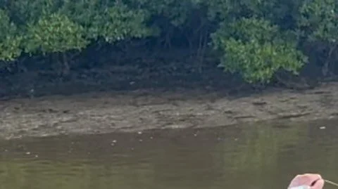 Big moon big tides and even a big fish or two. Great time introducing Billy Kehoe  to the Everglades Sightfishing a big snook in inches of water was the highlight of the trip. Still have a few days left to fill next week call to book a trip for &lsqu