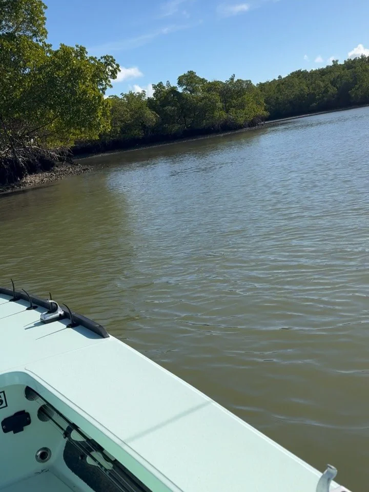 Still have some days open at the end of January and this week has been beyond beautiful as far as weather goes. Plenty of belly crawling redfish in mere inches of clean water. Sightfishing has been phenomenal. 
John Witt with a beautiful feisty bleac