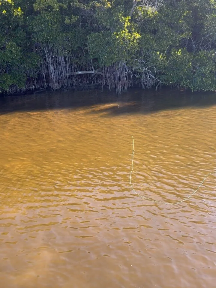 Our annual spring get-together  @greggibson25 thawing out from Idaho 10 days of non stop fun. We experienced warm, cold, sun,no sun, super foggy, calm, to breezy with a touch of wild fires to burn our eyes. Greg caught just about everything possible,