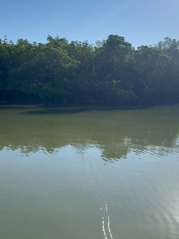 Had a great two days introducing  @citadelfishing and @huckshillforge  to the Everglades. We sightfished there first snook and jumped several good tarpon. Great to have anglers and fish to reward you for your efforts. Robby and Grant, you guys are st
