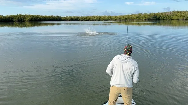 Pulling on dinosaurs with Zach Cyrus and Aaron Paschal on the nicest day in a while. Wind died down and the fish got happy, well done boys. Thanks for coming down. 
Here comes the wind again 🫣

Anglers Addiction Guide Svc 
NaplesFloridaFlyFishing.co