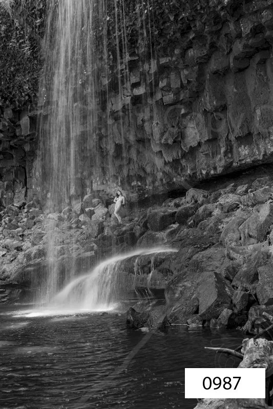 _DSC0987_DxO.jpg