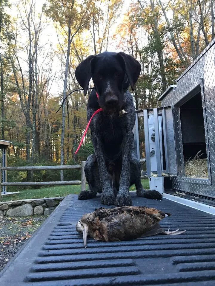 Gunner