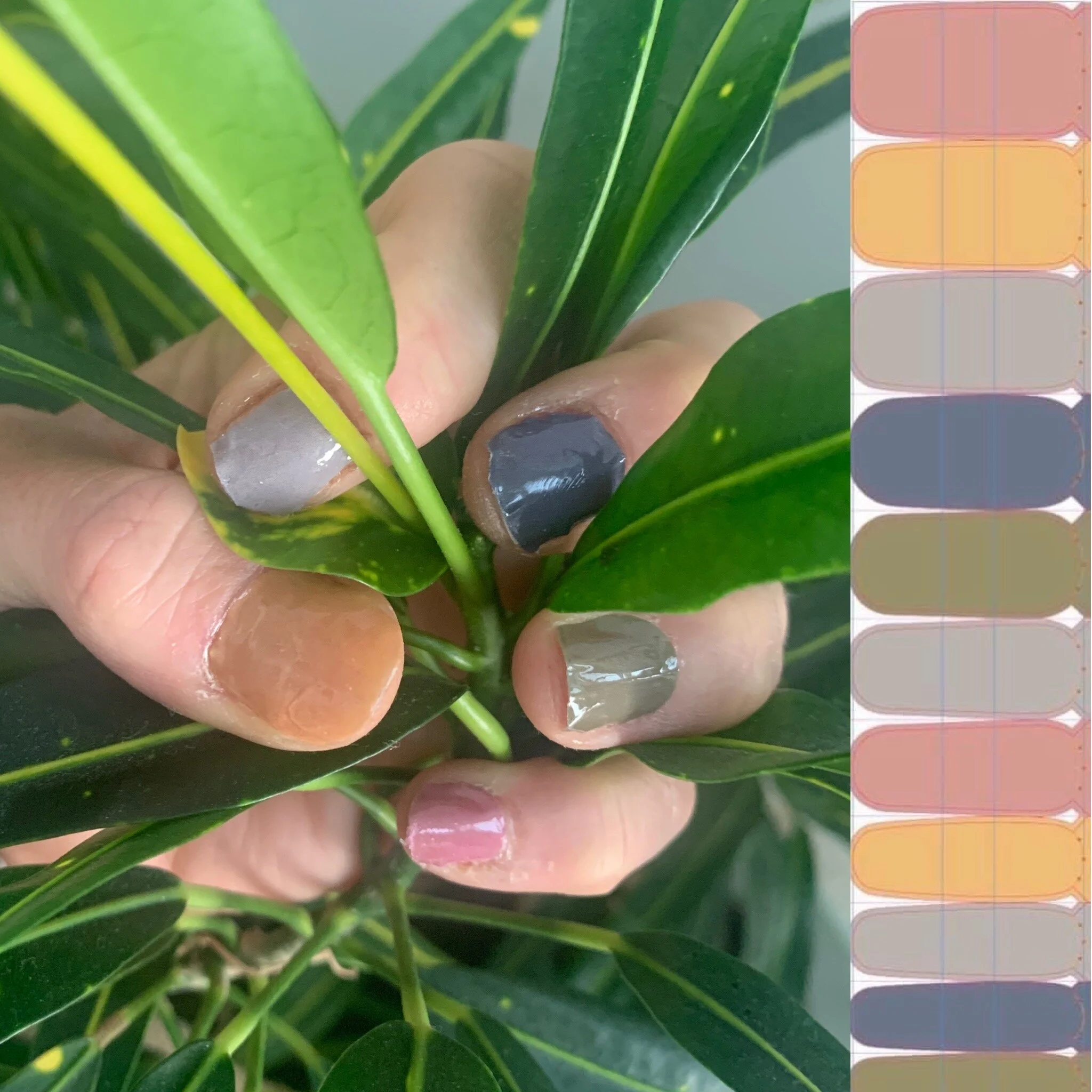 Harvest — Tuff as Nails - Wraps That Give Back