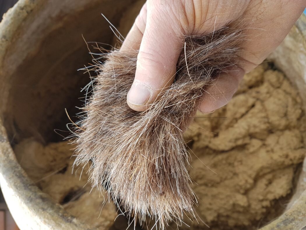 Horse hair