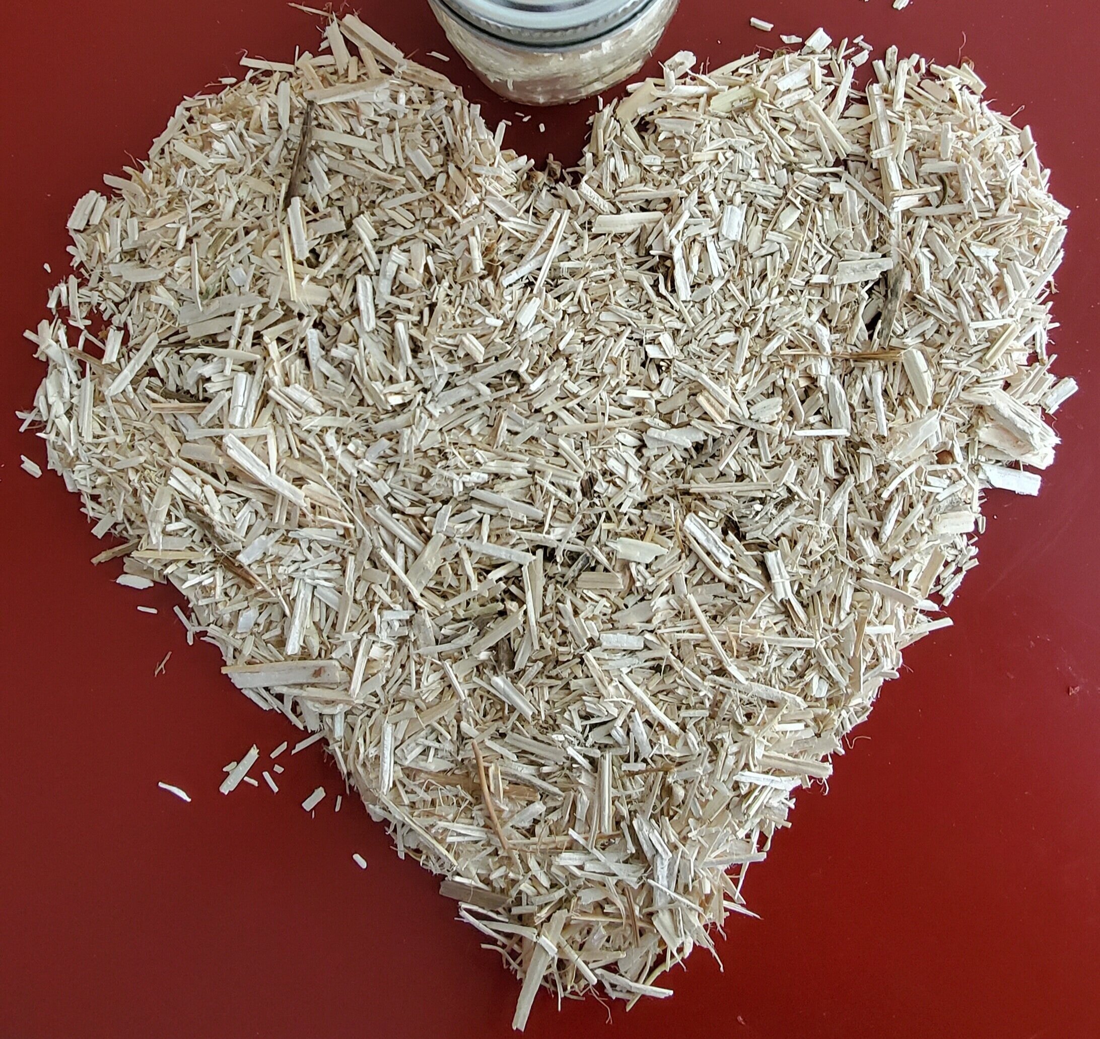 For the Love of Hemp