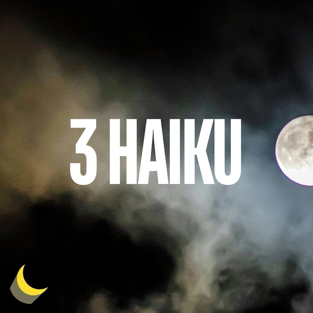 Fancy a few haiku? Swipe to read three of Cassady O&rsquo;Reilly-Hahn&lsquo;s, or visit thelitpub.com! 

Follow @cassady_orha for more :) 

🌙: A promising soccer player in his high school years, Cassady O&rsquo;Reilly-Hahn broke his leg and, well, t