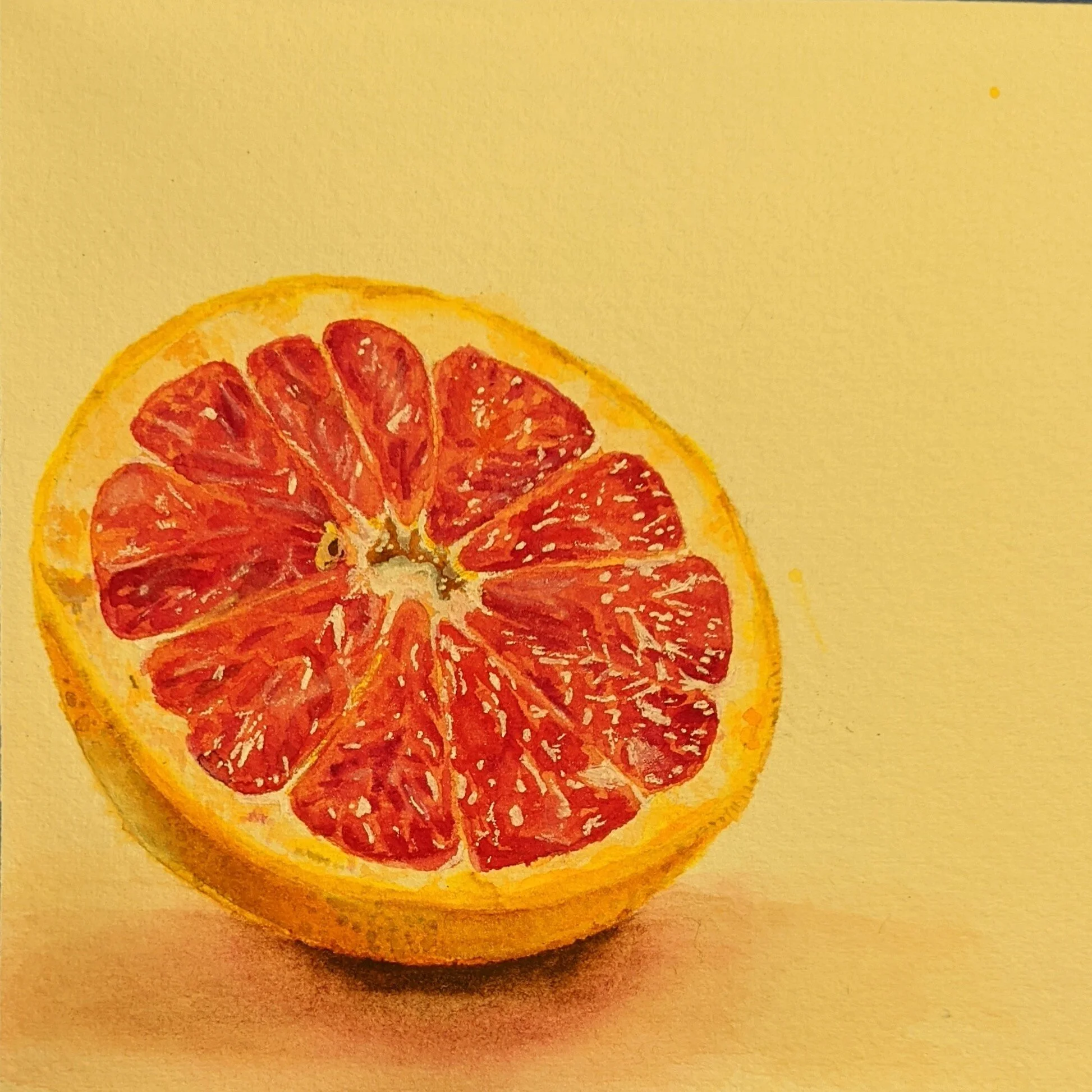 grapefruit.jpg