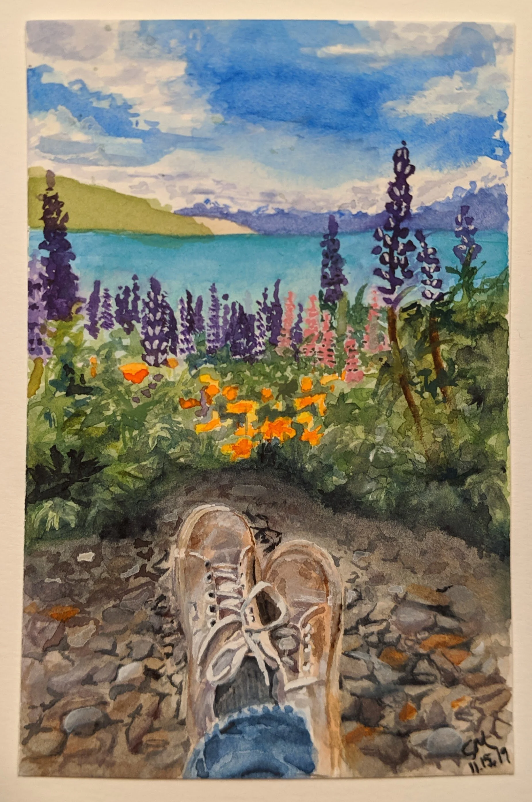new zealand lupins.jpg