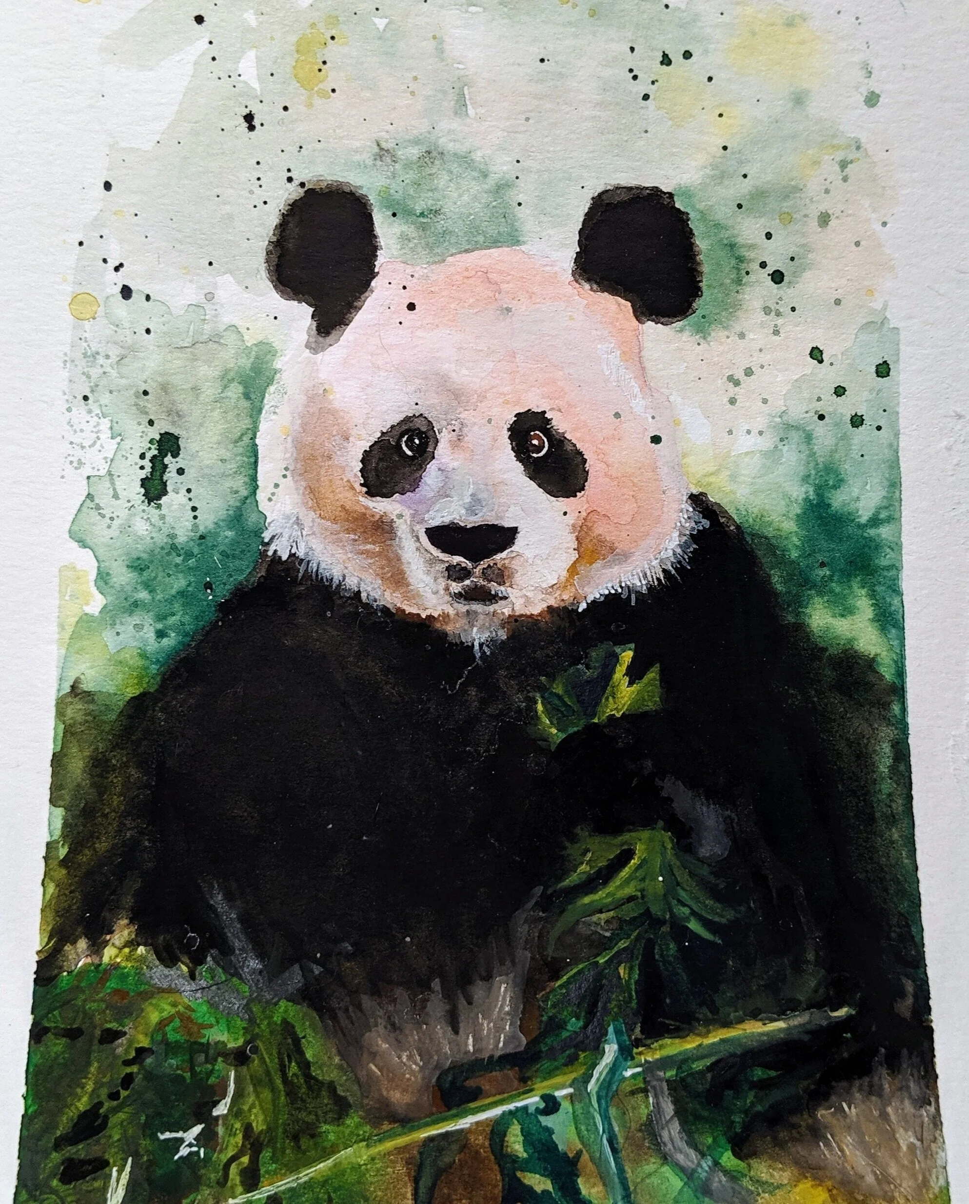 panda+bear.jpg