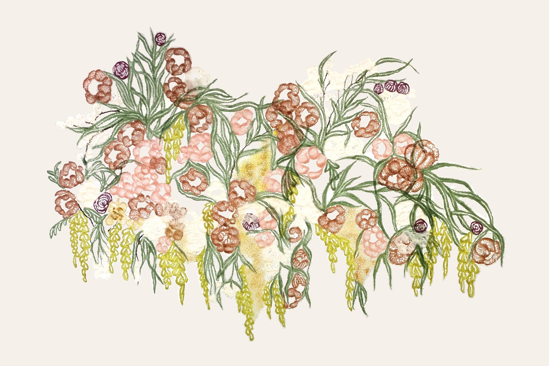 KATE CLEMENTS