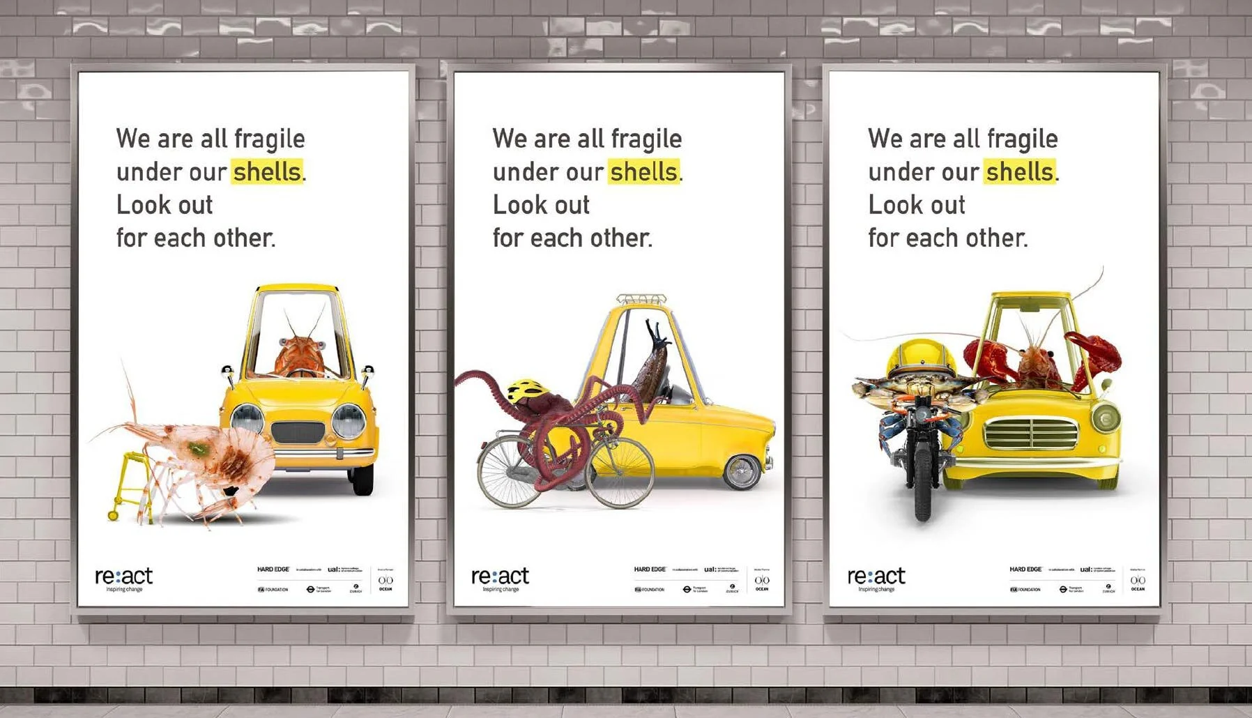 ‘We are all fragile under our shells’ announced as selected student campaign for Re:act London 2021.