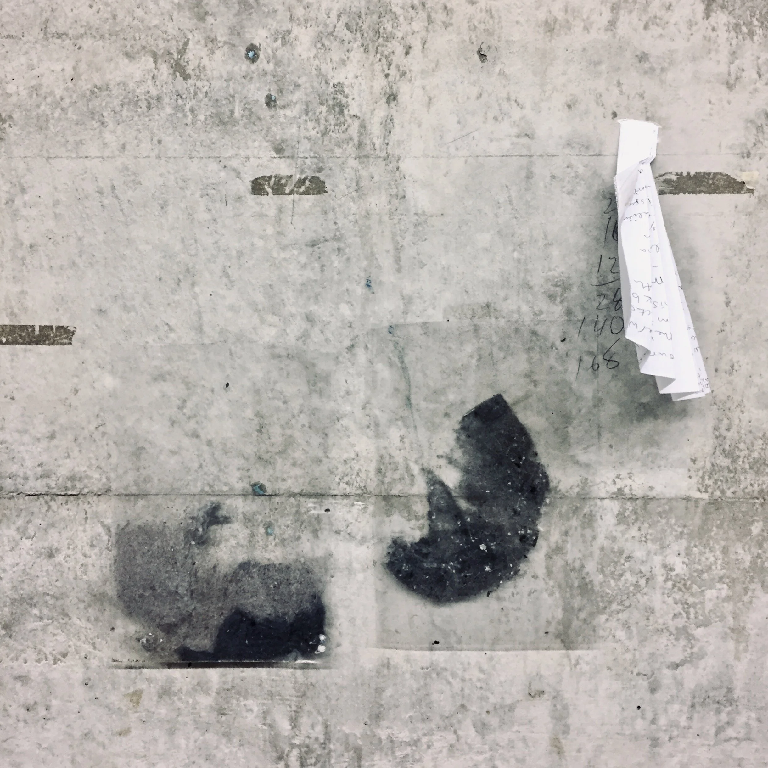 IMG_0061.jpeg