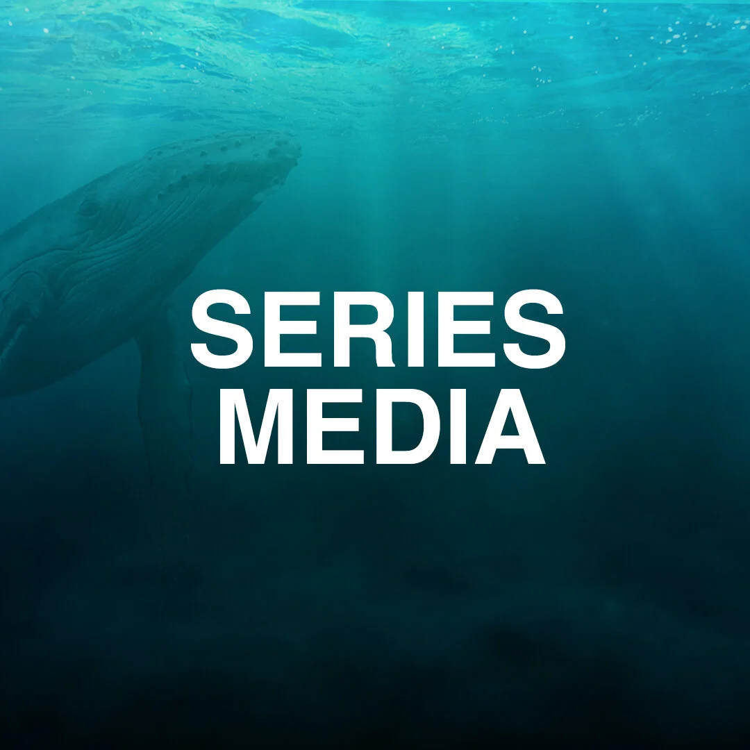 Media 1080x1080.jpg