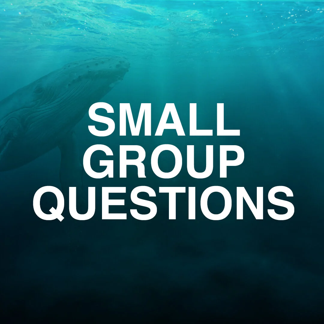 Group Questions 1080x1080.jpg