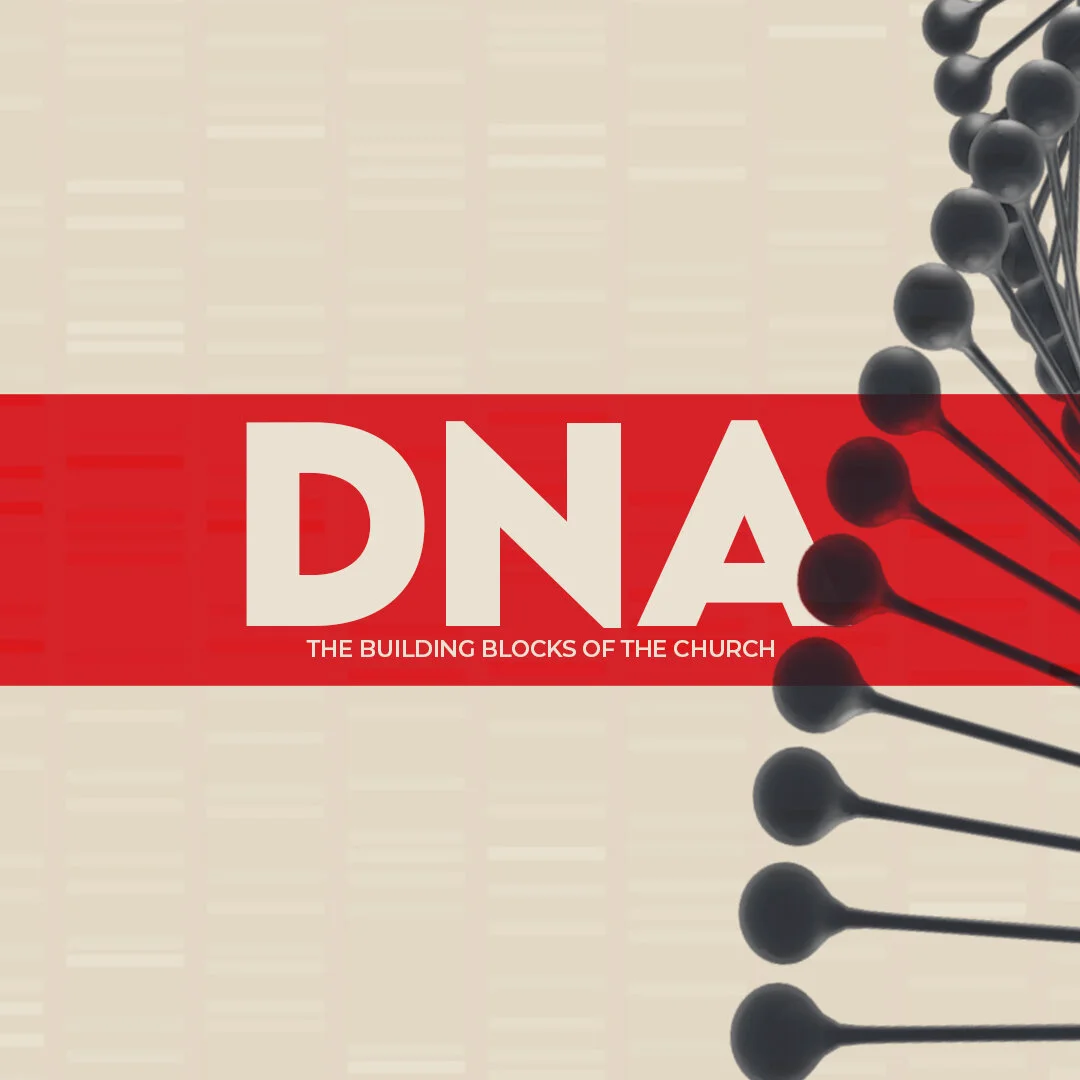 DNA Series Insta- square (1080x1080).jpg