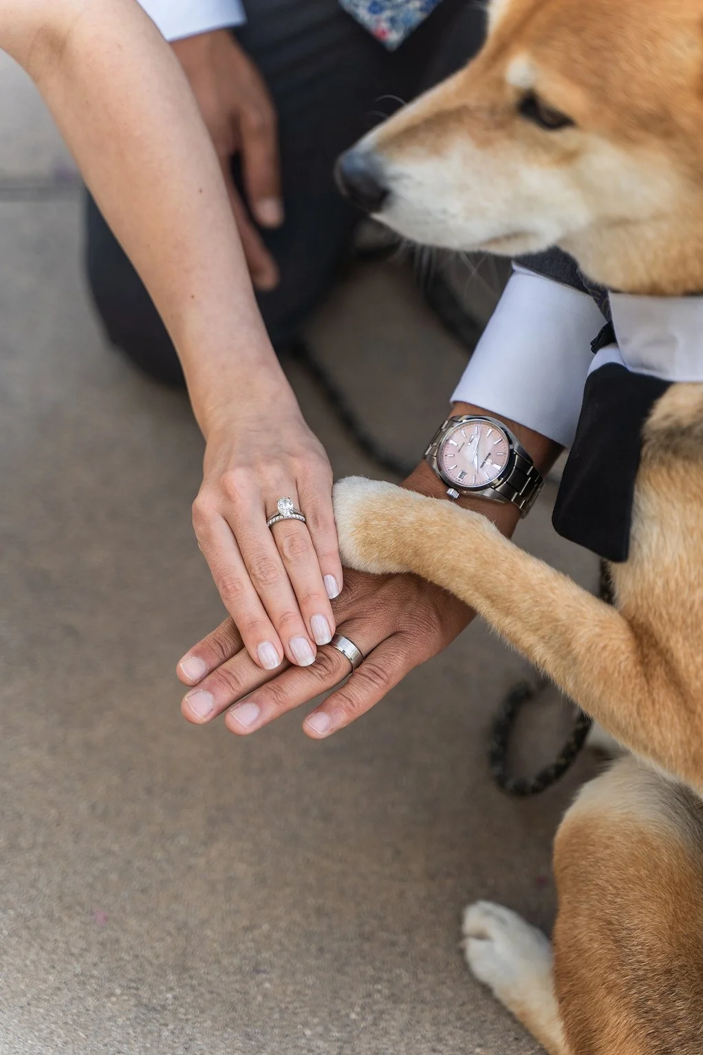 Couple holding rings out with dog's paw for San Francisco City Hall wedding photos