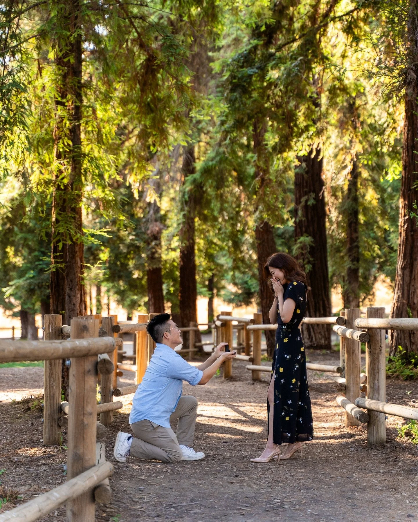 With the only redwood trees in Southern California, Yorba Linda&rsquo;s Redwood Grove was the perfect spot for Scott &amp; Amy&rsquo;s engagement session. 

Not only was this location full of natural greenery, but its wide open space allowed for quie