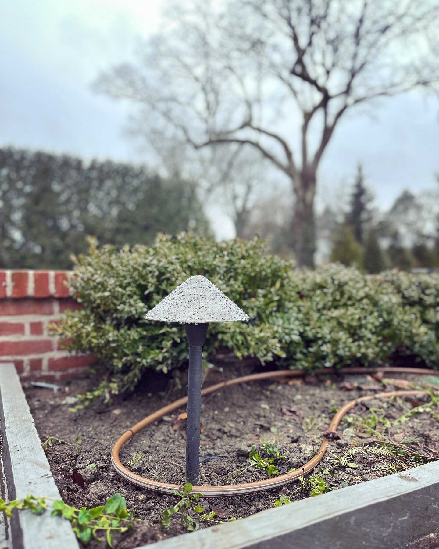 Winter doesn&rsquo;t stop us. Finishing up this lighting and irrigation project. More to come soon. 🤩  #irrigation #irrigationtechnician #irrigationlife #sprinklersystem #lawn #garden #water hunterindustries #siteone #rainbird #lowvolumedrip #dripir