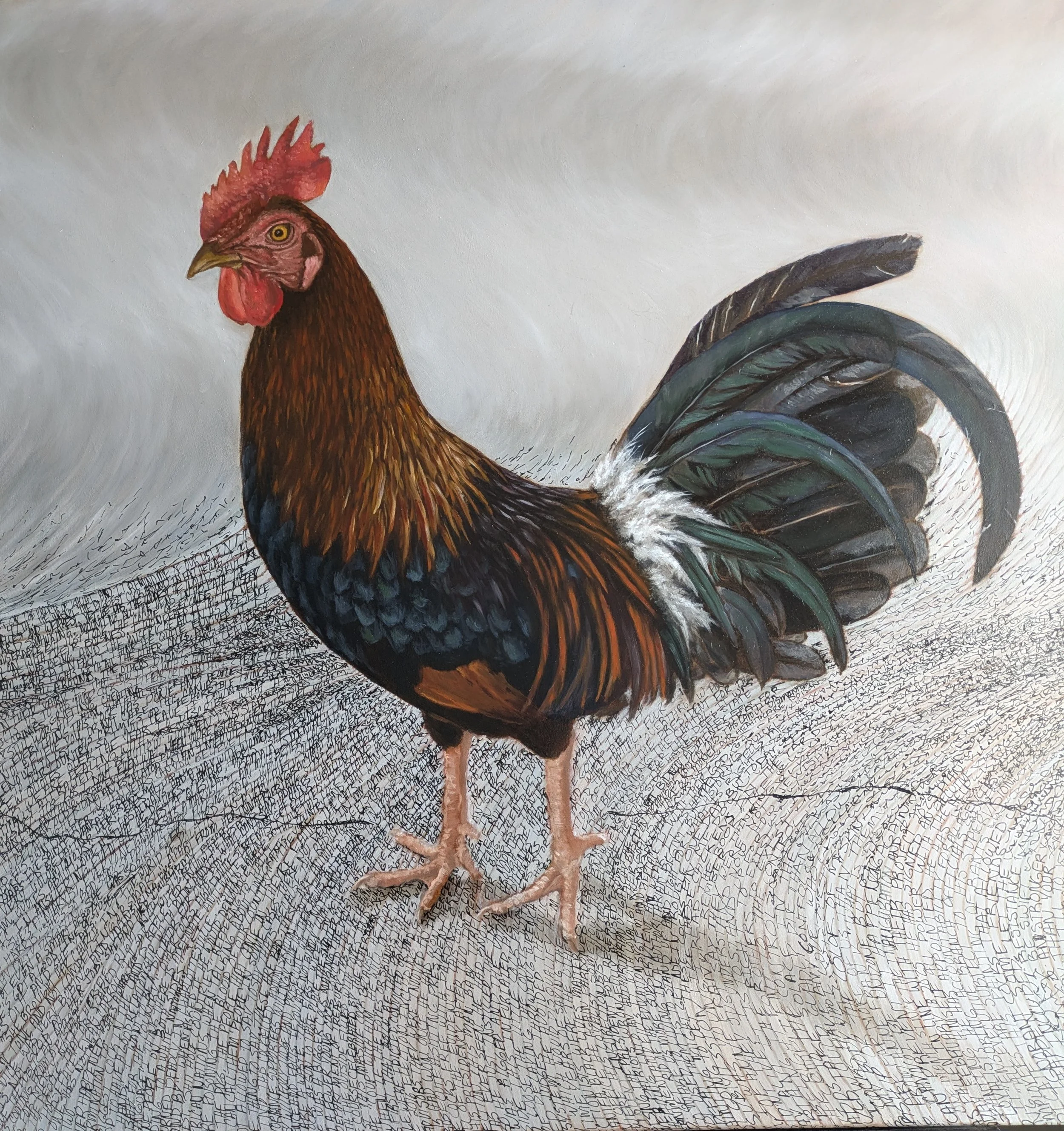 A huge cock