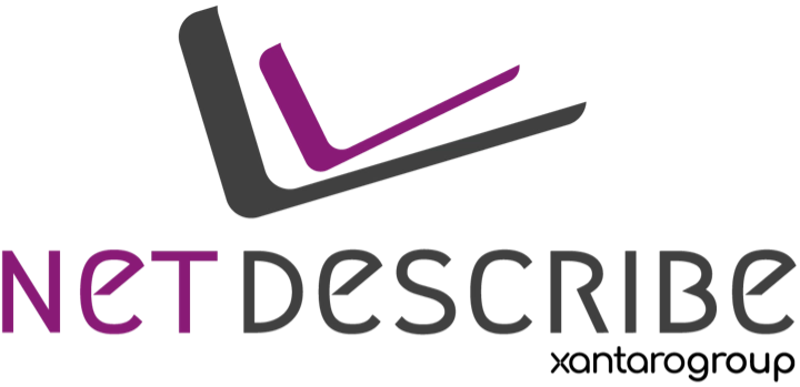 NetDescribe