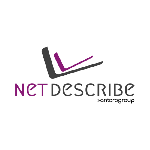 NetDescribe