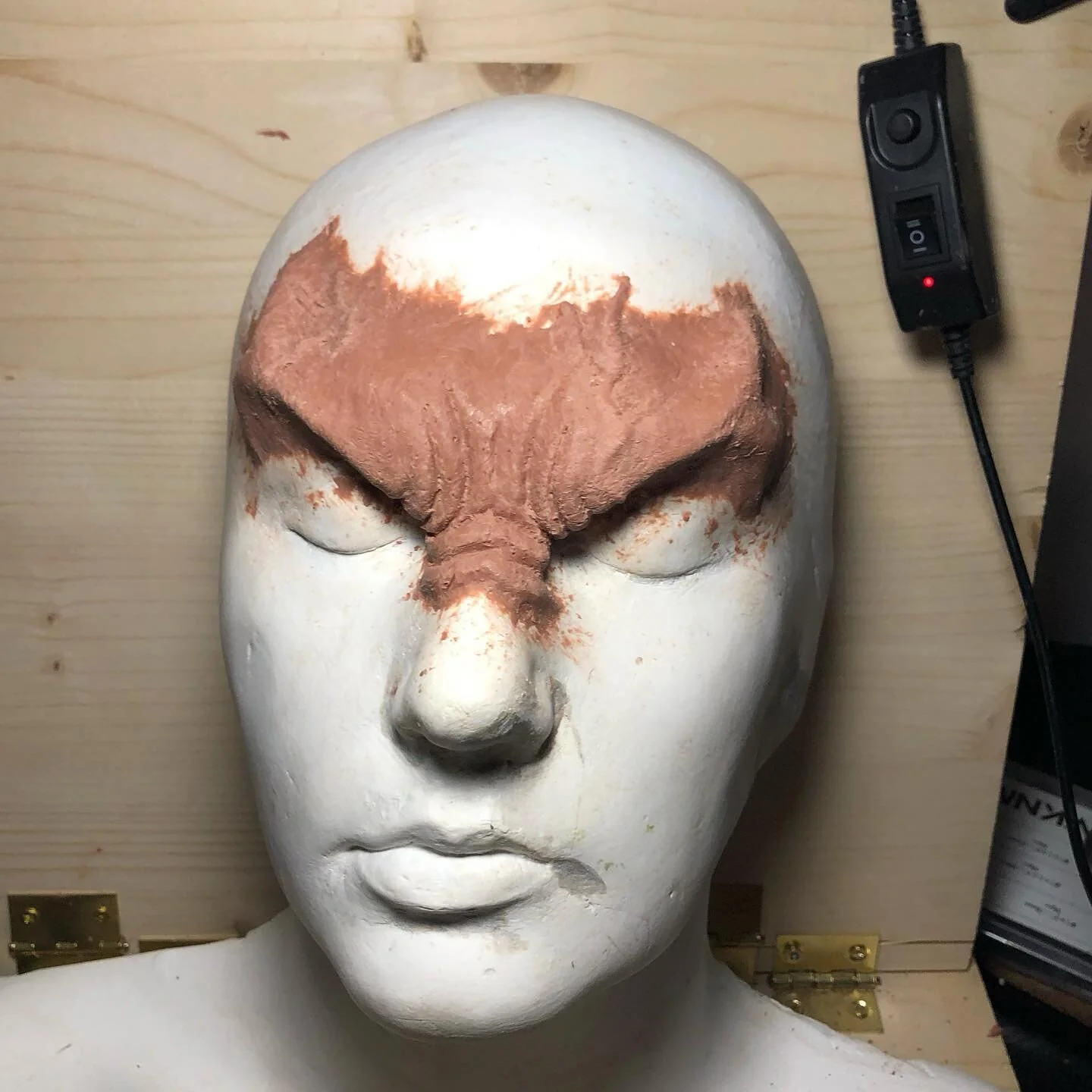 A progress pic of starting to sculpt in some forms for a cool brow prosthetic 🧛🏻&zwj;♀️