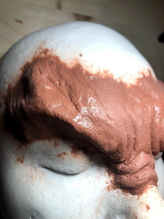 brow prosthetic 1.jpg