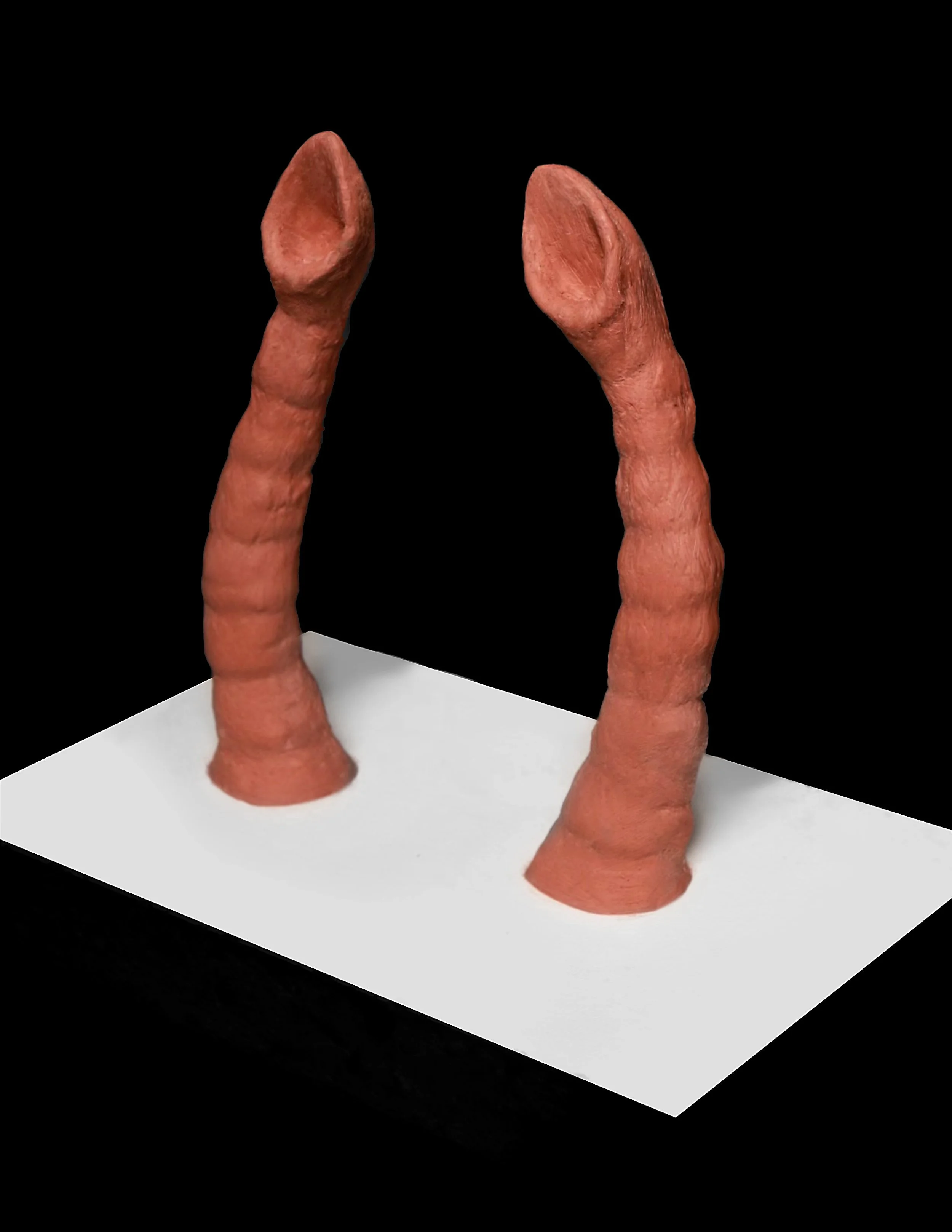 MylinaAntenna4[934].jpg