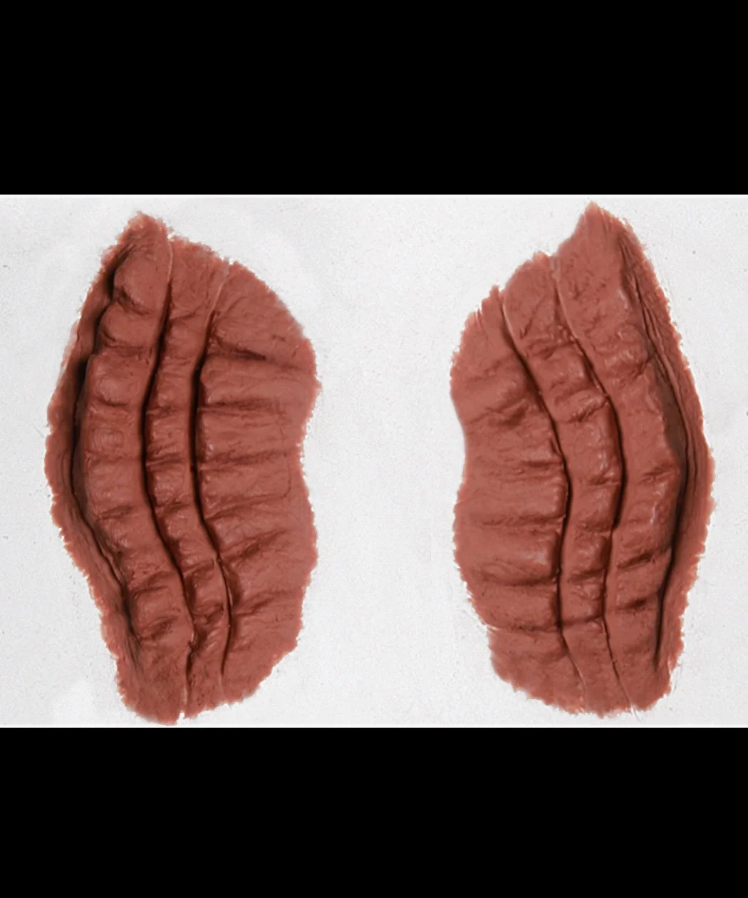 Gills.jpg