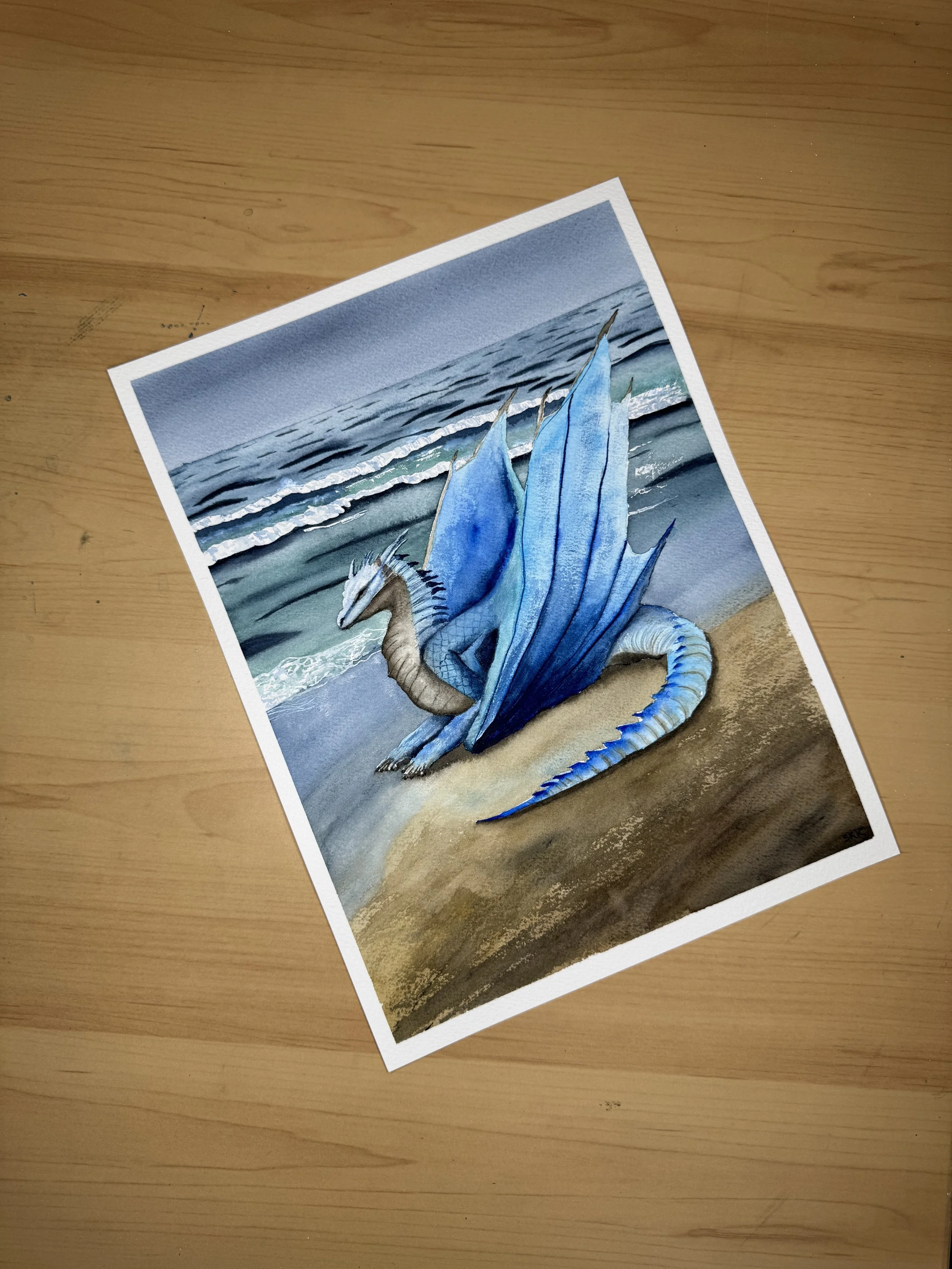 260711 Dragon on beach IMG_2351.jpg