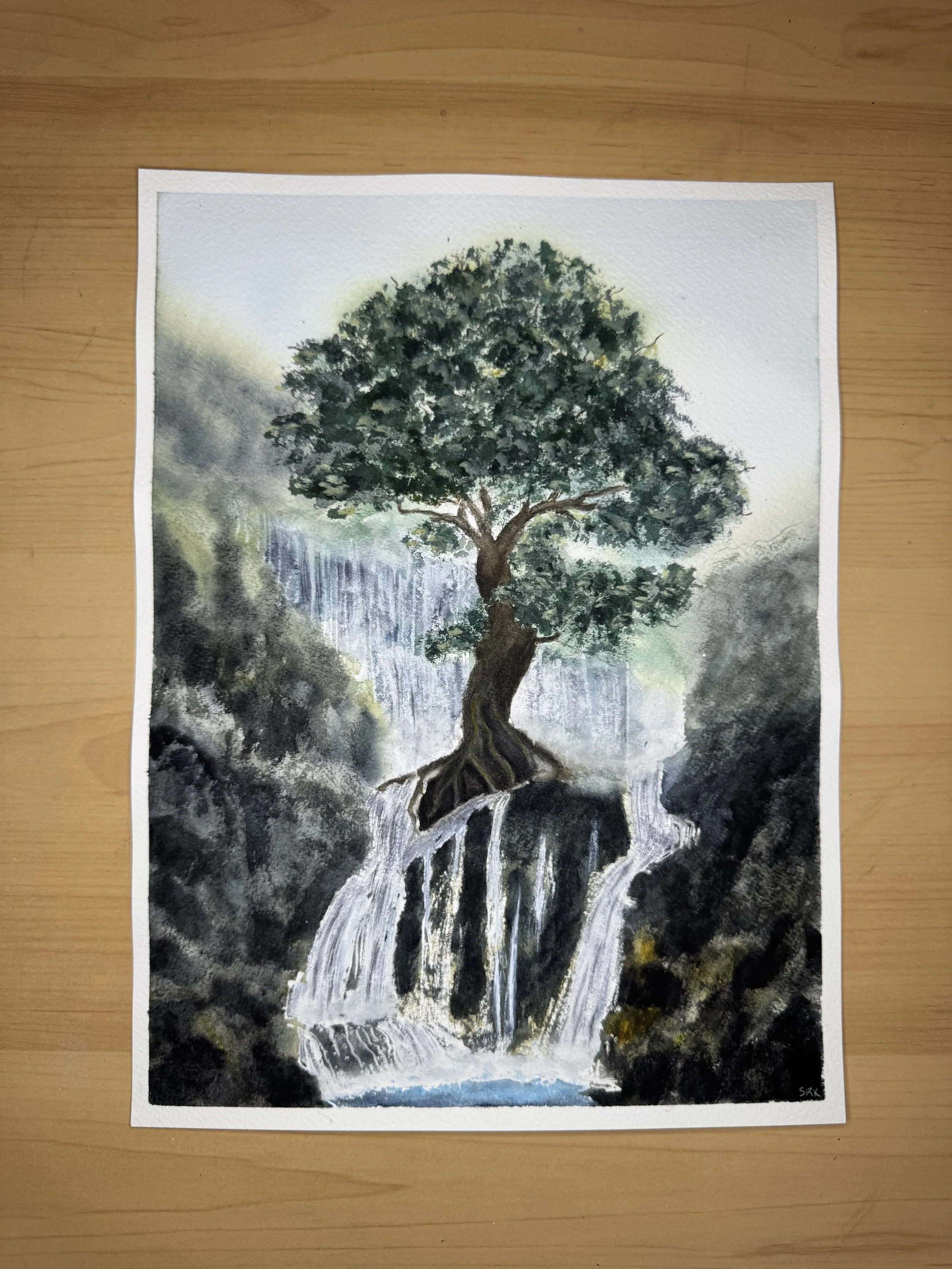 260731 tree and waterfall IMG_2783.jpg