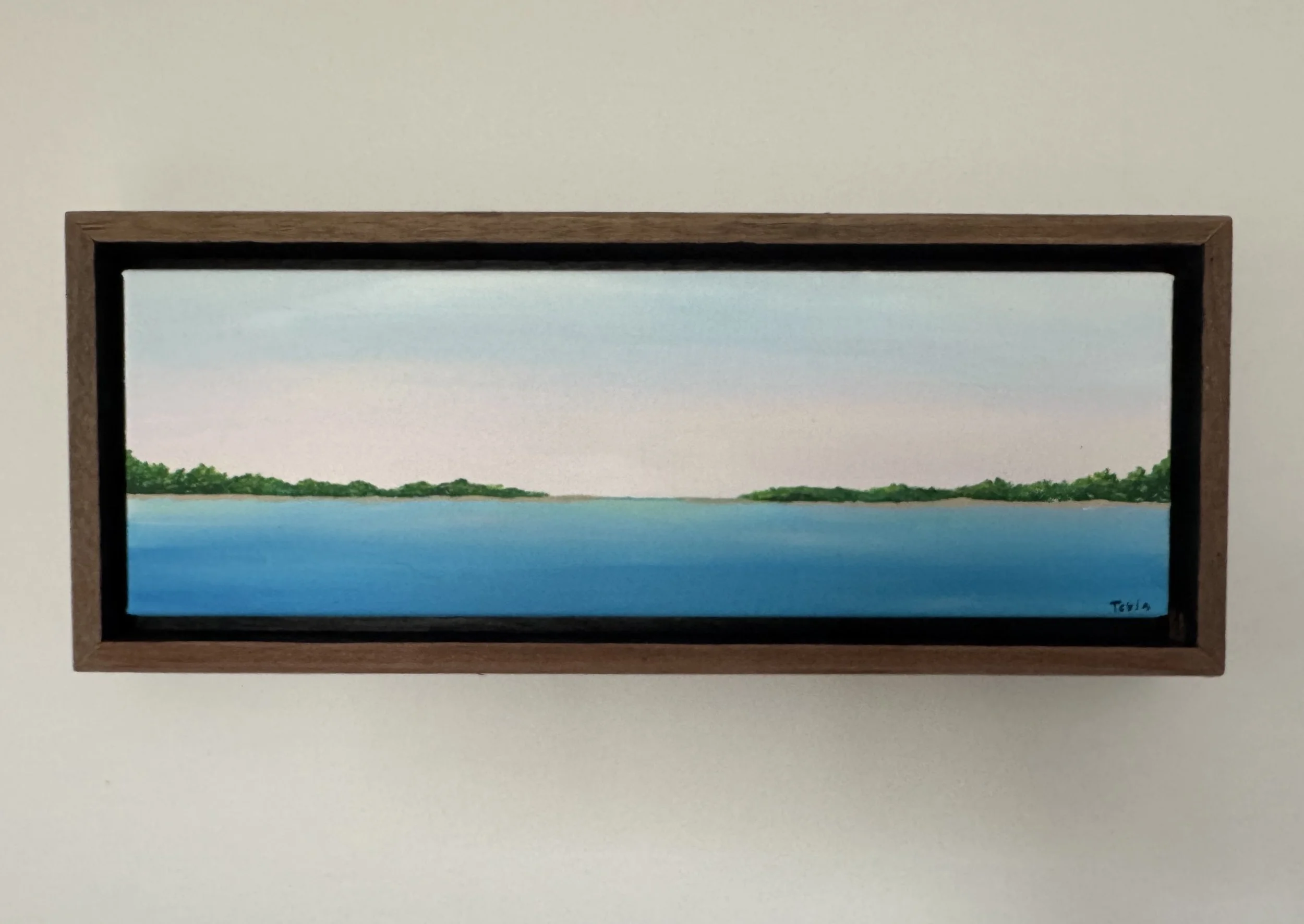 Tisbury Great Pond .jpg